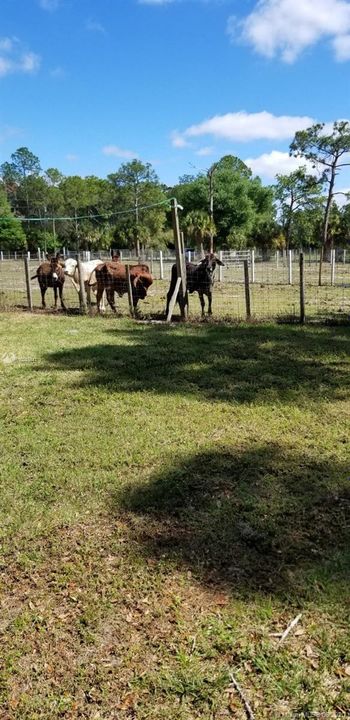 Vendido Recientemente: $285,000 (5.00 acres)