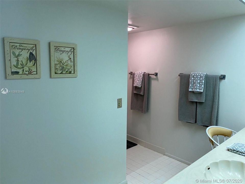 MASTER BATHROOM AREA