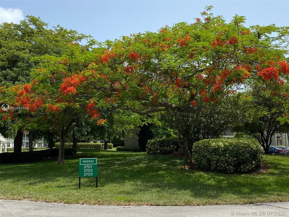 UNIT LOCATION - BUILDING #2703 AT NASSAU VILLAGE