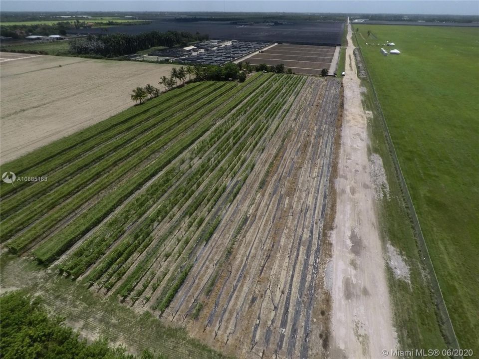 Recently Sold: $275,000 (5.00 acres)