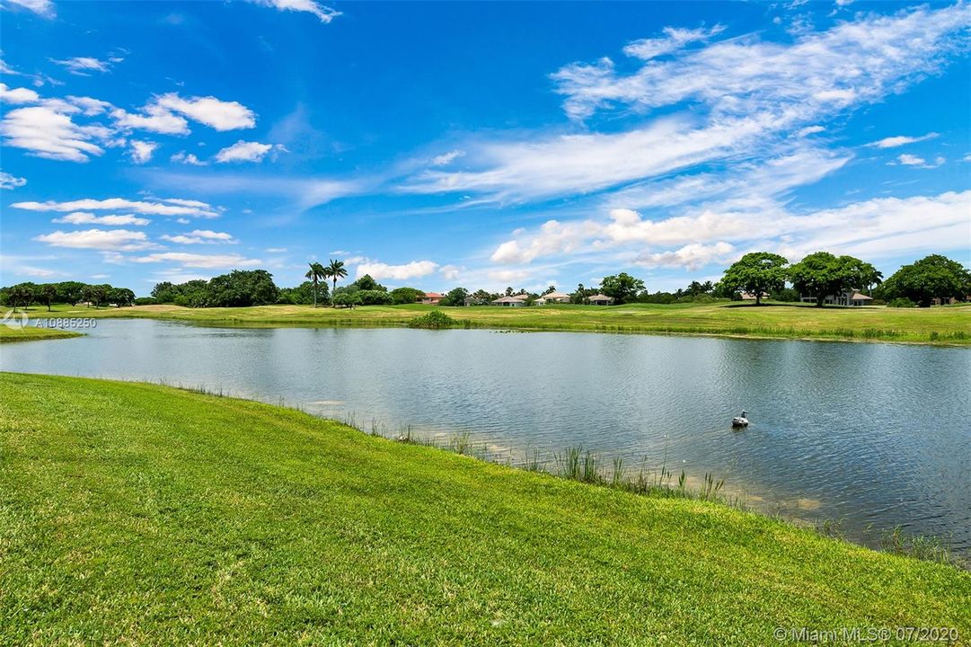 Recently Sold: $2,300,000 (6 beds, 5 baths, 6024 Square Feet)