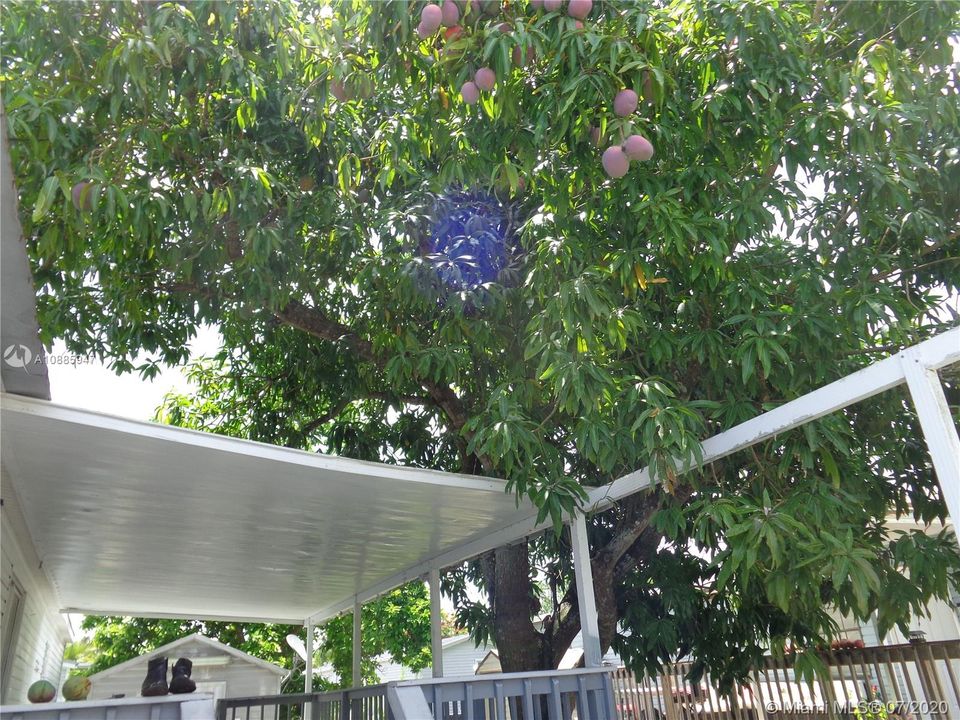 Vendido Recientemente: $149,990 (4 camas, 2 baños, 1690 Pies cuadrados)