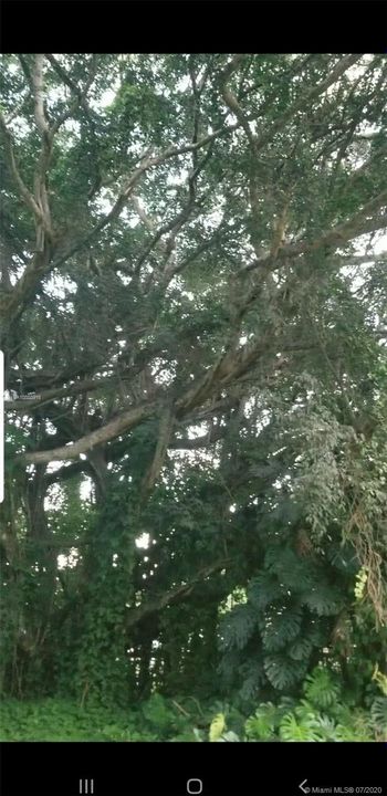 Vendido Recientemente: $315,000 (1.97 acres)