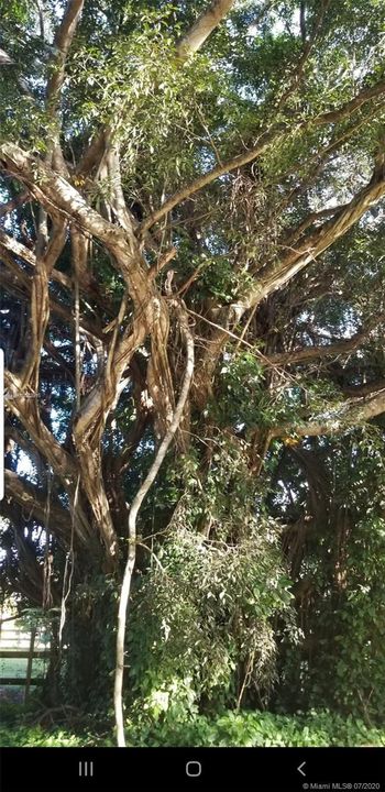Vendido Recientemente: $315,000 (1.97 acres)