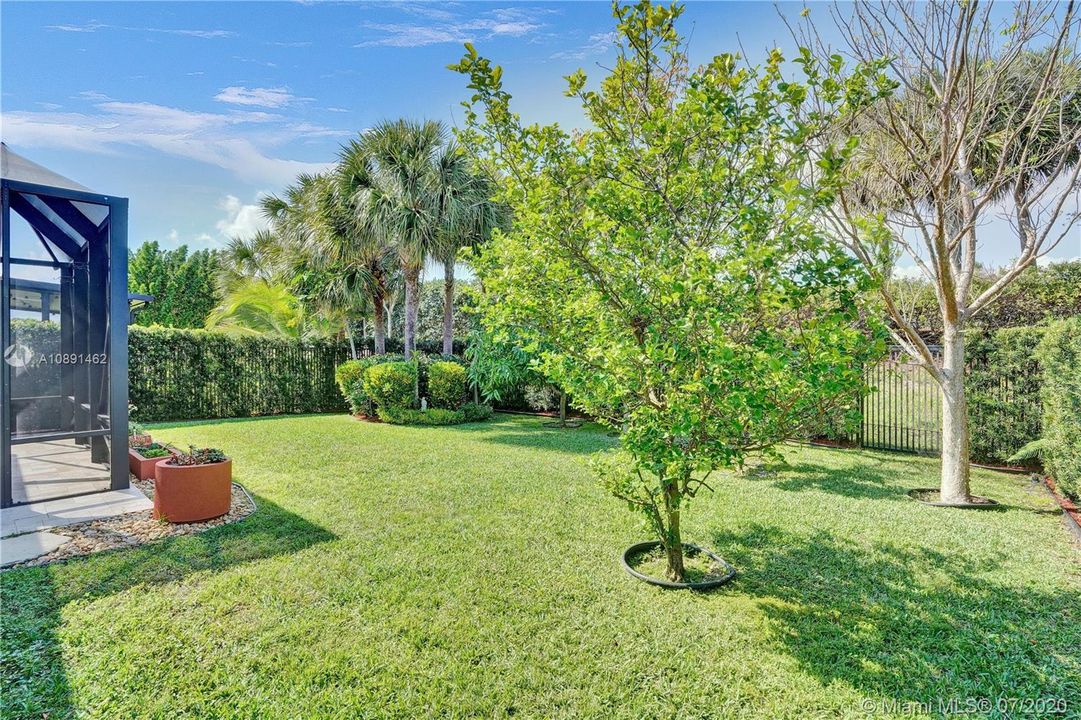 PRIVATE BACKYARD