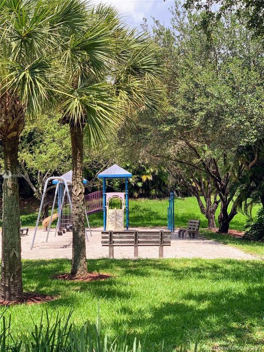 Common area playground