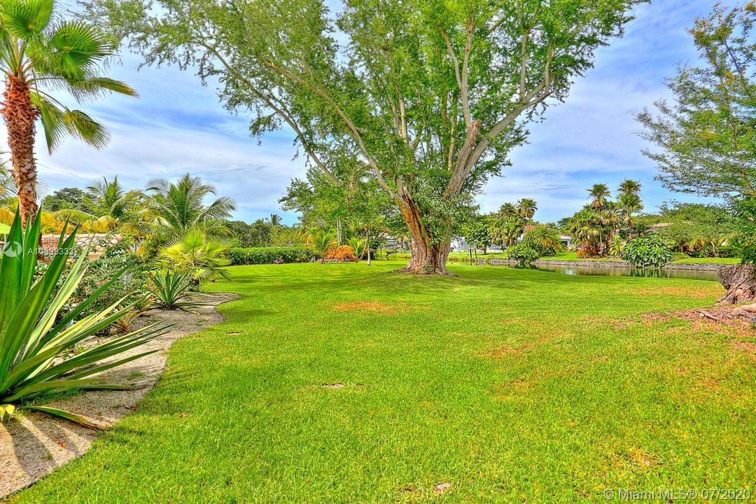 A beautiful & spacious yard.