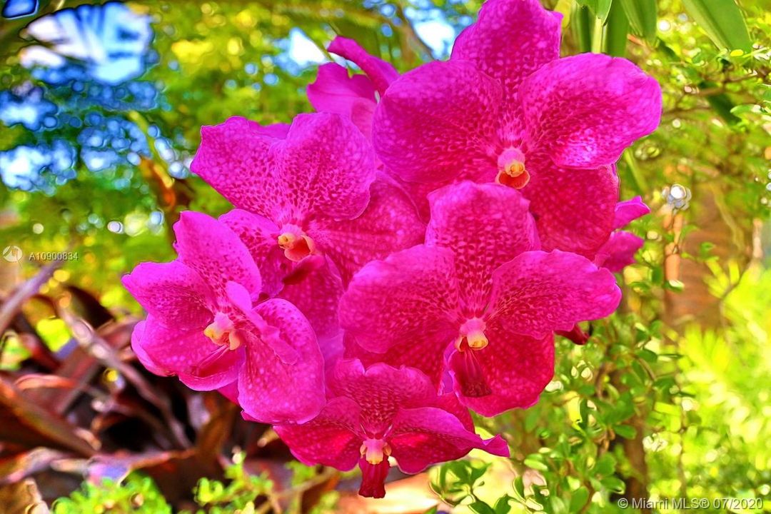 Lavish Gardening