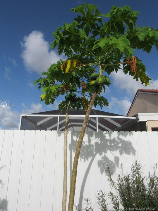 Recently Rented: $2,650 (3 beds, 2 baths, 1632 Square Feet)