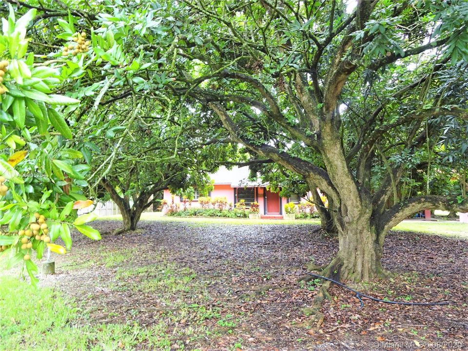 2BD/1.5BA in 2.64 ACRES