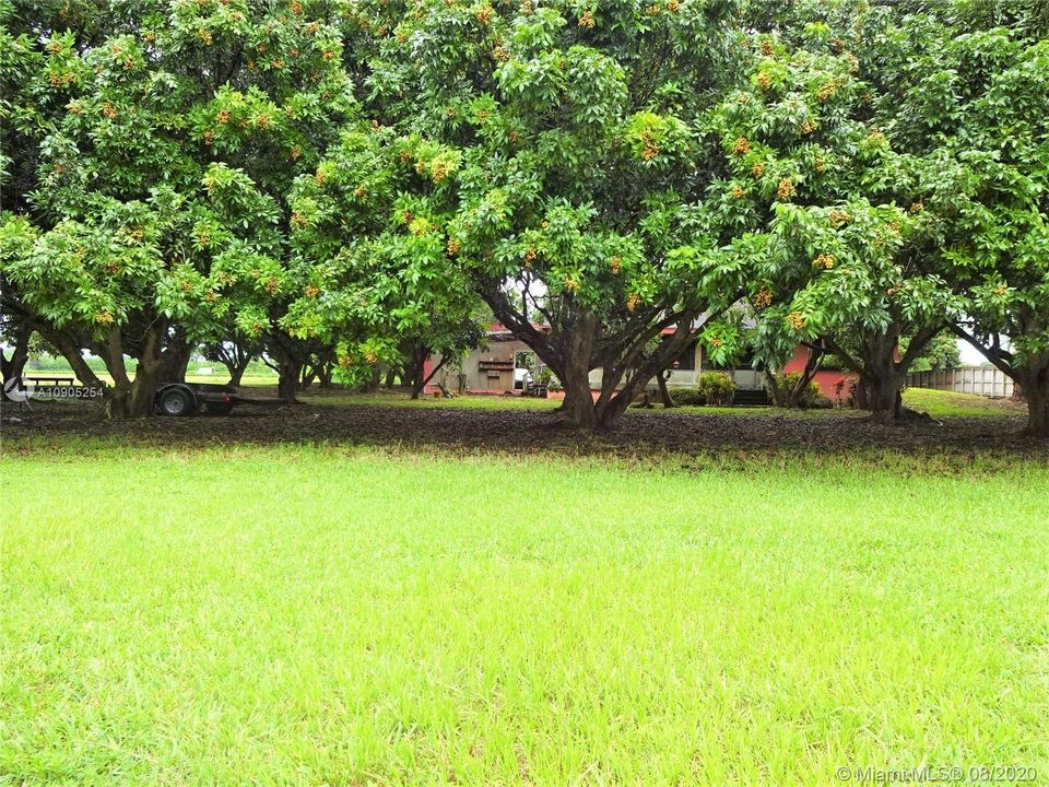 Vendido Recientemente: $475,000 (2 camas, 1 baños, 1538 Pies cuadrados)