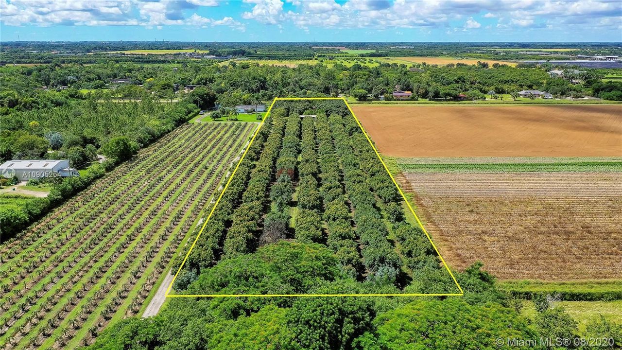 2BD/1.5BA, 2.64 Acres, Agriculturally Exempt, Longan & Avocado Grove