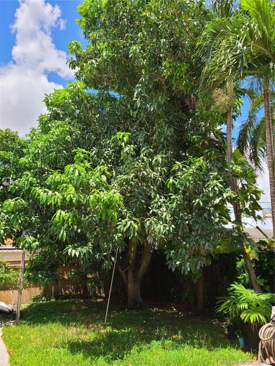 Vendido Recientemente: $475,000 (4 camas, 3 baños, 1672 Pies cuadrados)