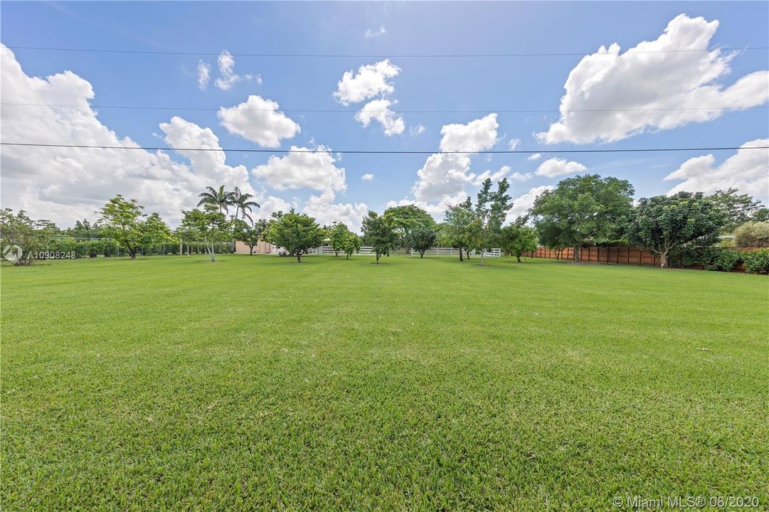 WIDE OPEN SPACE