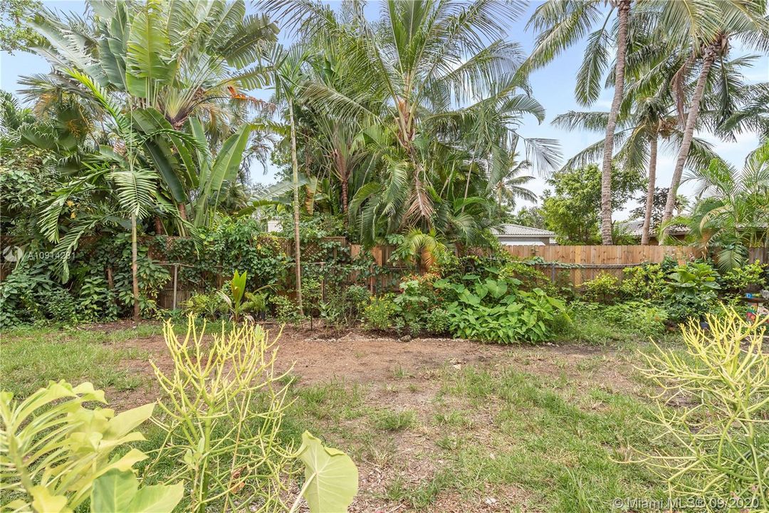 Private backyard with butterfly garden