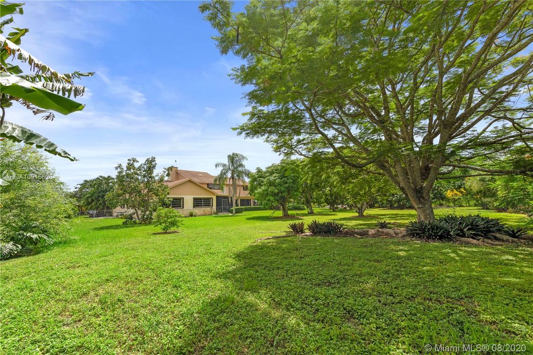 rear yard view.. great space for pool/patio