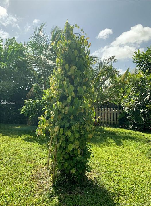 Vendido Recientemente: $499,500 (5 camas, 3 baños, 2136 Pies cuadrados)