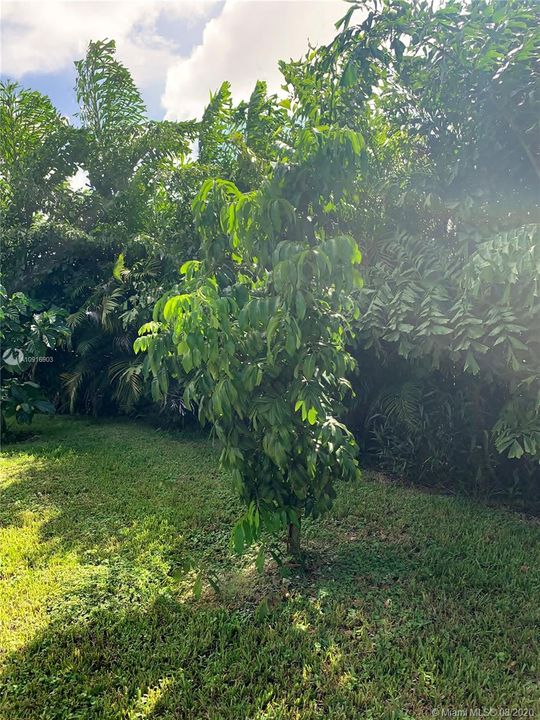 Vendido Recientemente: $499,500 (5 camas, 3 baños, 2136 Pies cuadrados)