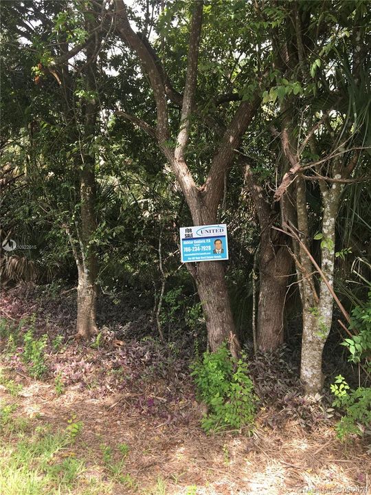Vendido Recientemente: $39,550 (0.26 acres)