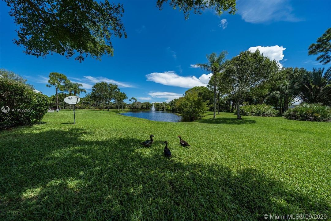 Vendido Recientemente: $225,000 (3 camas, 2 baños, 1178 Pies cuadrados)