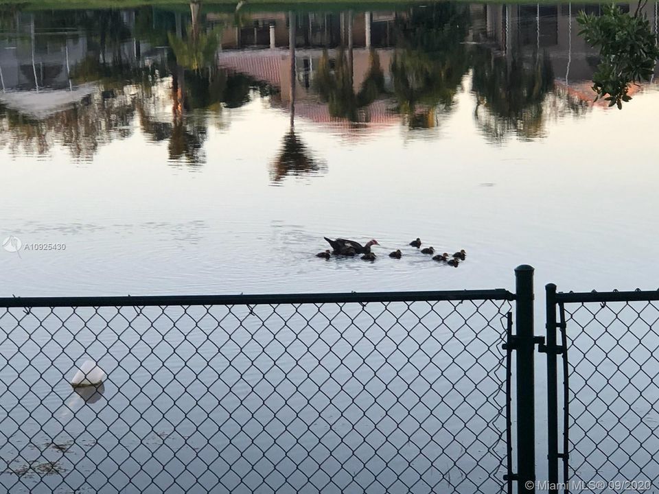 最近售出: $459,000 (3 贝兹, 2 浴室, 2090 平方英尺)