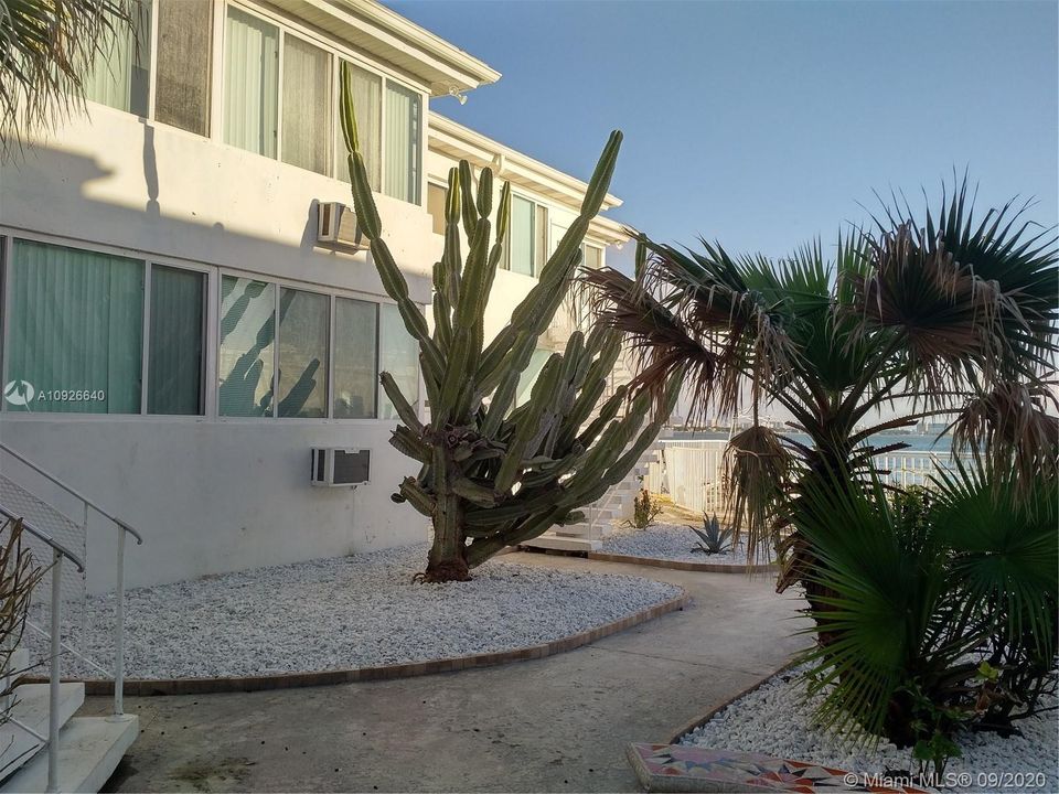 Недавно арендовано: $1,400 (1 спален, 1 ванн, 800 Квадратных фут)