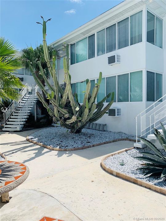 Недавно арендовано: $1,400 (1 спален, 1 ванн, 800 Квадратных фут)