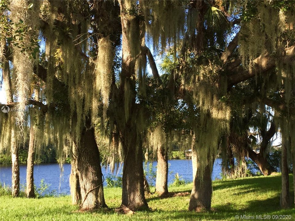 Vendido Recientemente: $269,900 (0.11 acres)