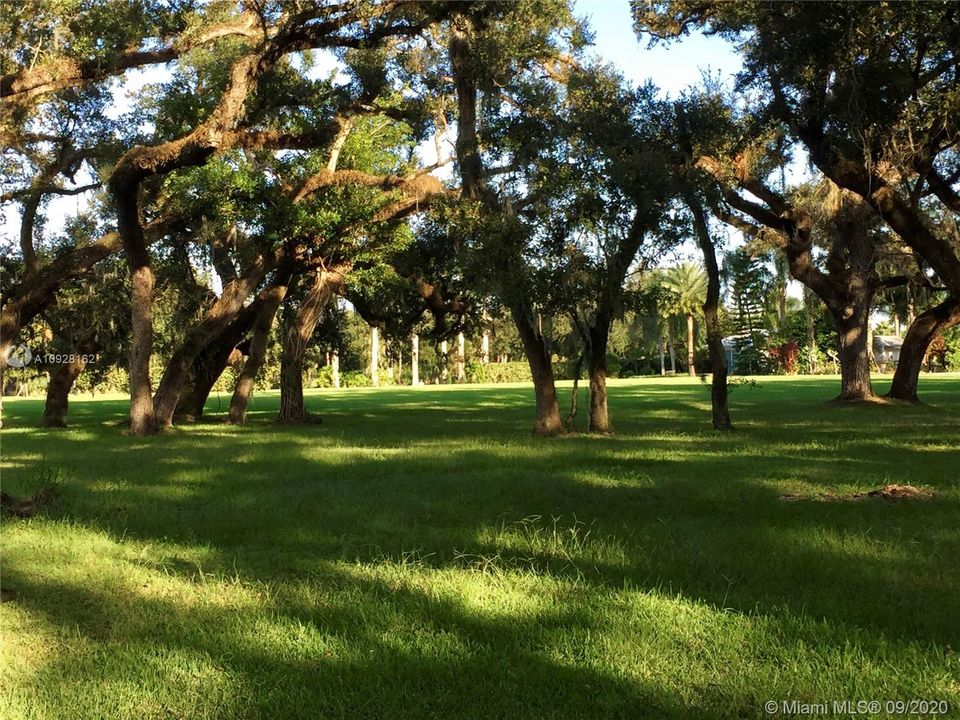 Vendido Recientemente: $269,900 (0.11 acres)