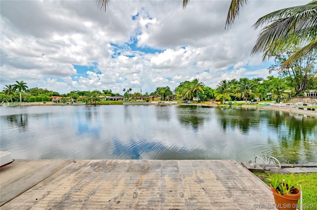 Backyard view