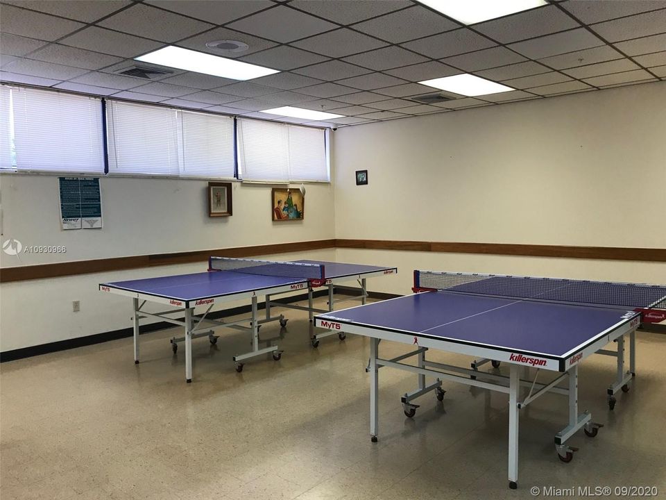 PING PONG