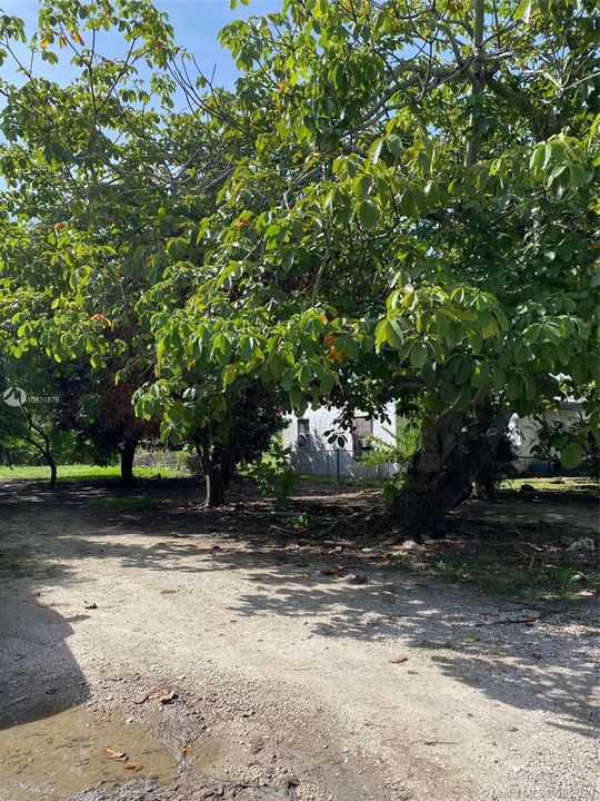 最近售出: $59,999 (0.18 acres)