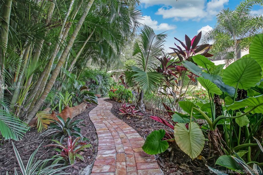 Authentic Chicago Brick foot path meandering amidst a span of mature Arica Palms and lush landscaping.