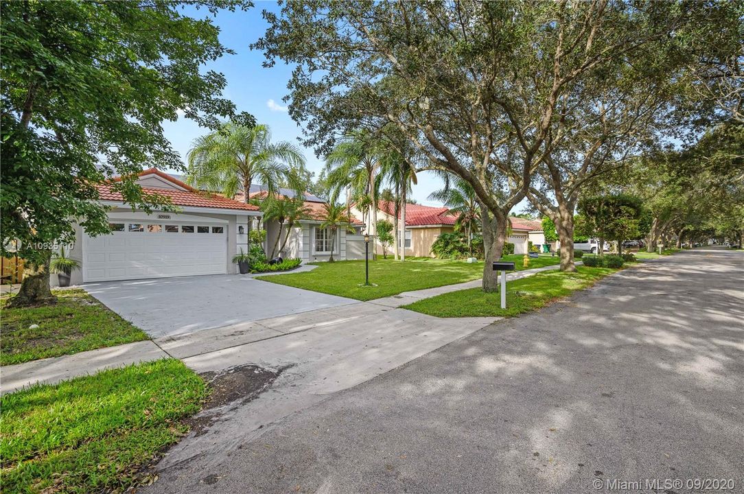 Driveway and view of the front yard