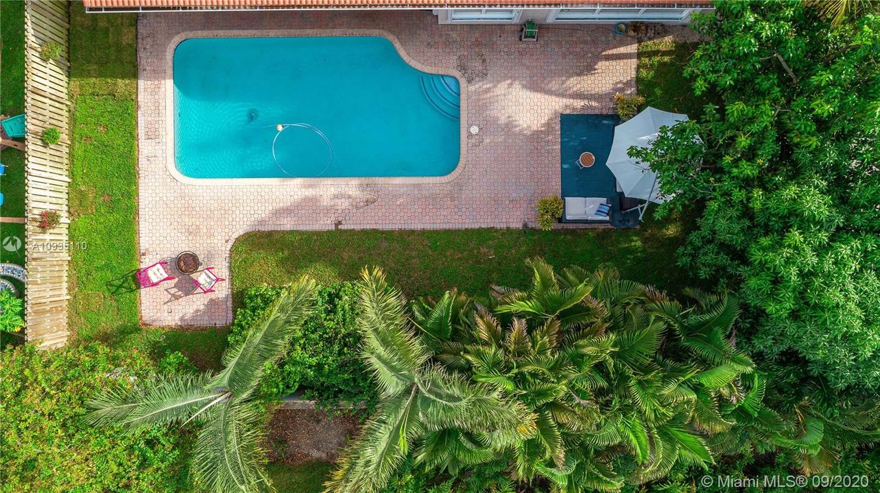 Large pool and backyard space