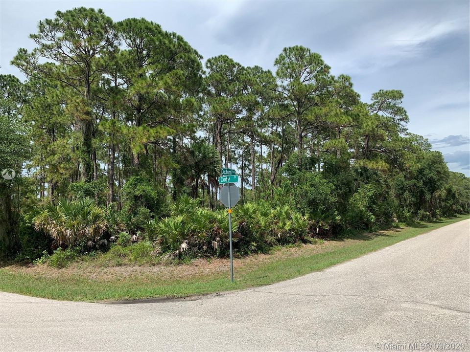 Recently Sold: $11,000 (0.31 acres)