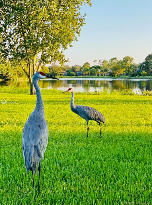 Recently Sold: $485,000 (4 beds, 2 baths, 2200 Square Feet)