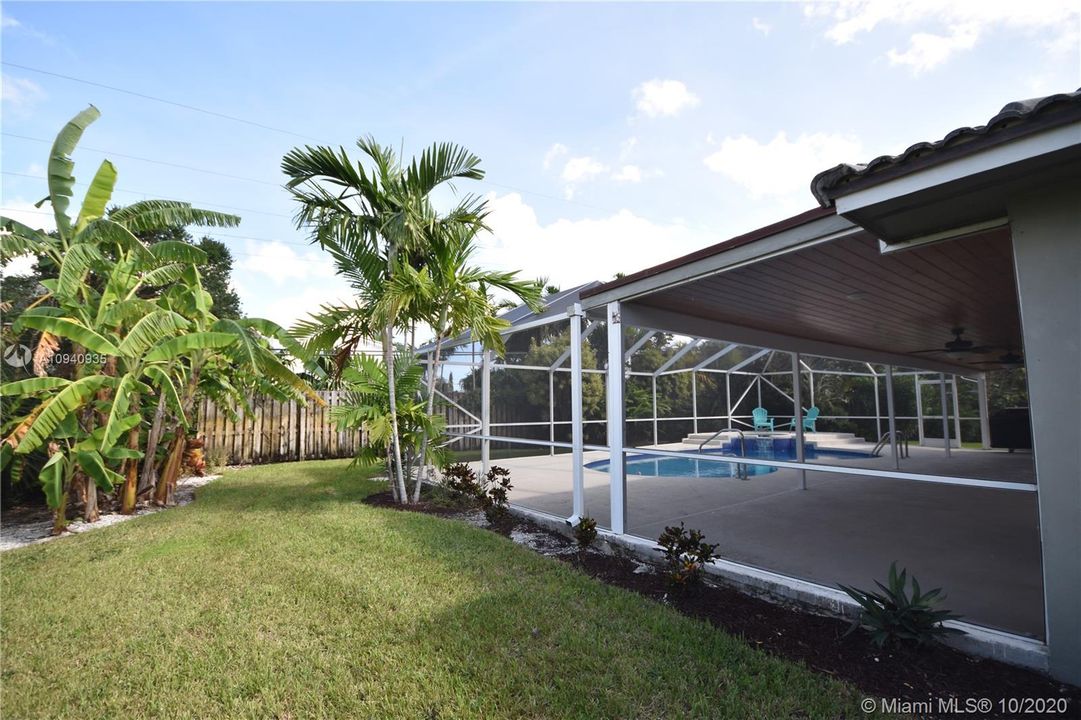 West Side of back yard