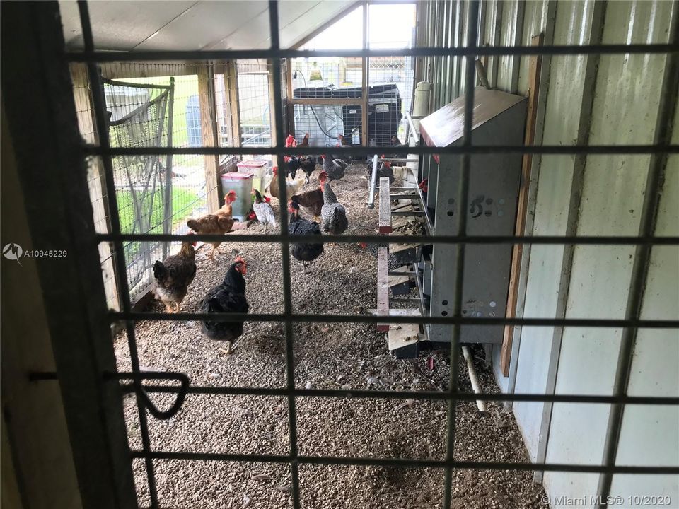 Vendido Recientemente: $999,000 (4 camas, 3 baños, 0 Pies cuadrados)