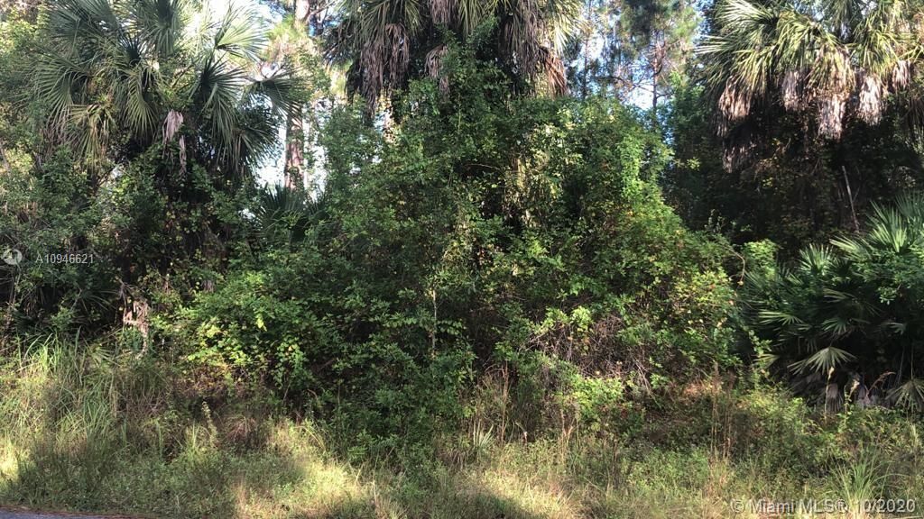 Recently Sold: $18,000 (0.02 acres)
