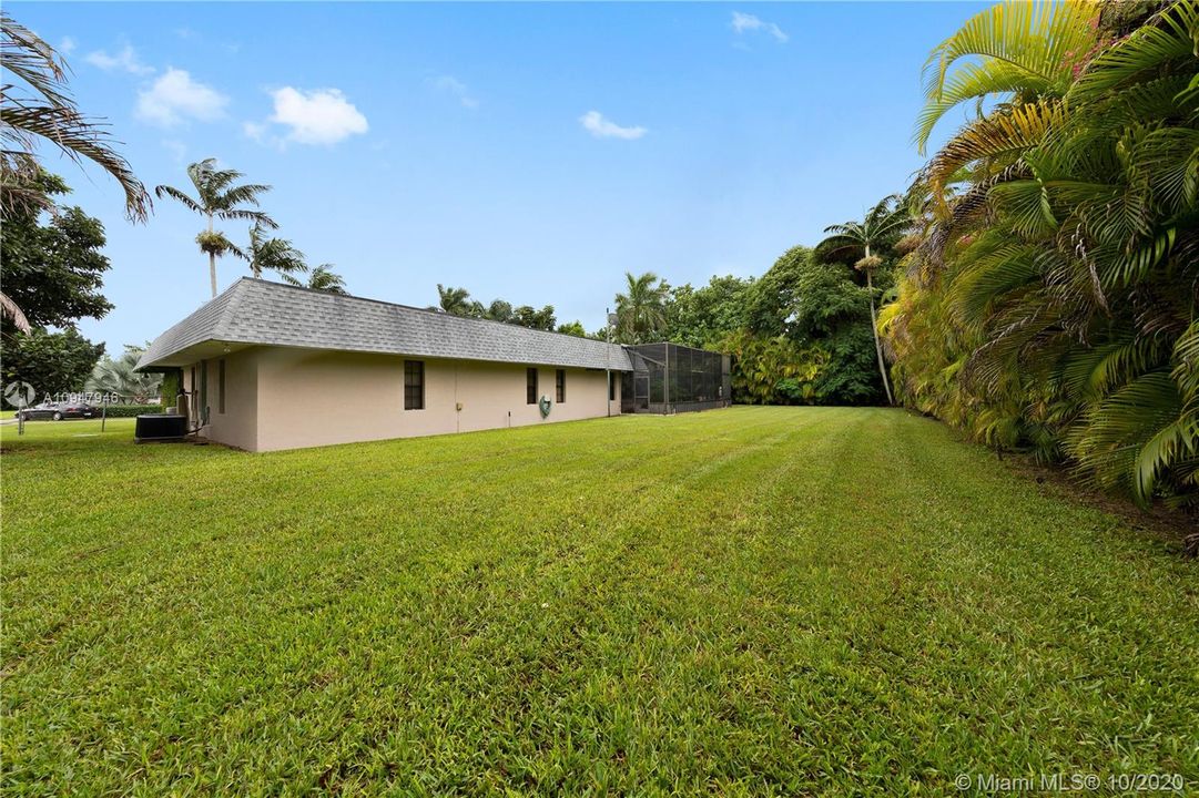 BACKYARD WITH PRISTINE OPEN YARD, FULL PRIVACY W/ FENCING AND PALMTREES LINING THE ENTIRE FENCE LINE.