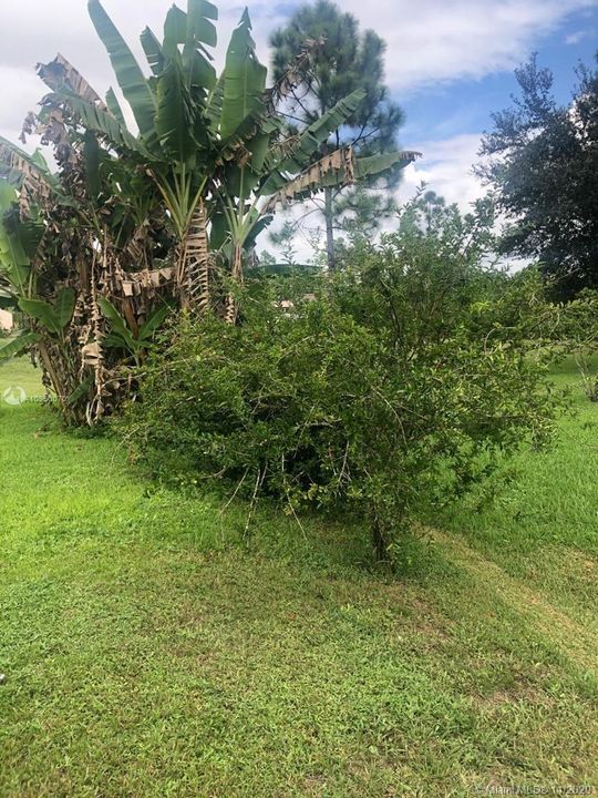 Vendido Recientemente: $210,000 (3 camas, 2 baños, 1417 Pies cuadrados)