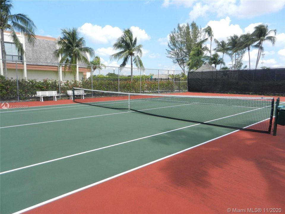 9 tennis courts, tennis pro