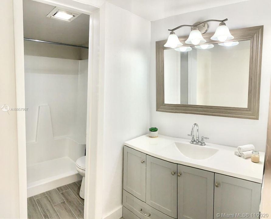 Master Suite Shower + Sink with Upgraded Vanity