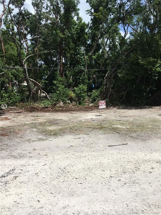 Vendido Recientemente: $99,000 (0.11 acres)