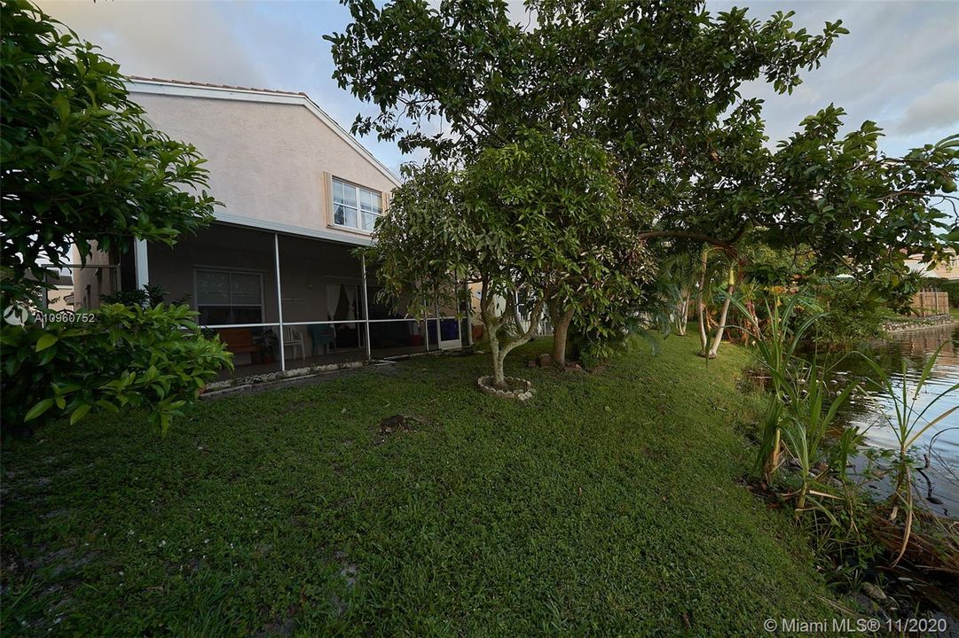 BACKYARD PATIO WITH FRUIT TREES!