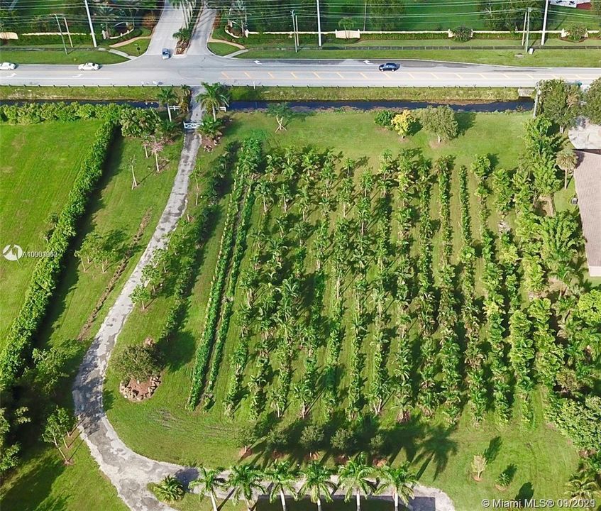 2.31 Acres (Trees not included as they belong to Landscaping Company)