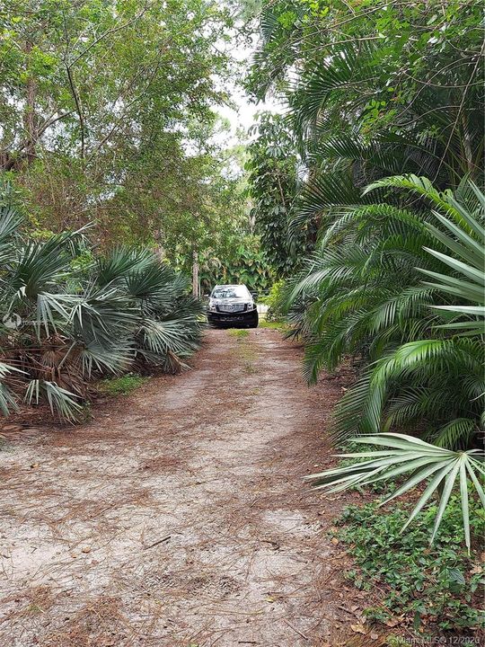 Service driveway all the way back to Stable