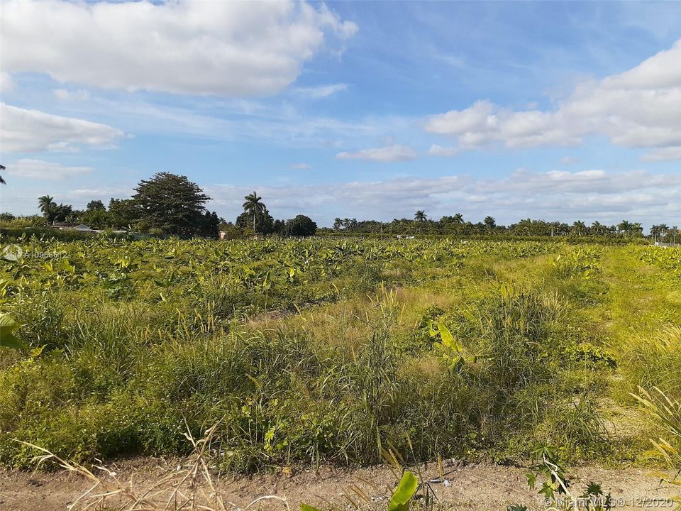 Land View
