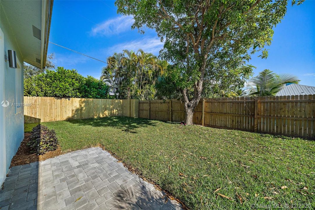 Backyard space and mango tree